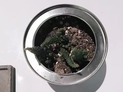 -UNI UNI(环亚凯瑟琳店)