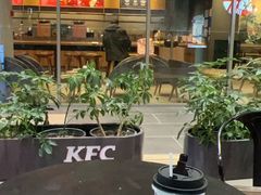 -守柴炉烤鸭(百伦店)