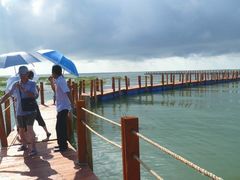 -北海金海湾红树林生态旅游区