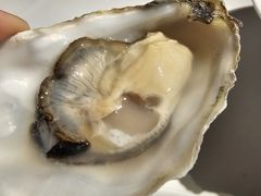 -Oyster Talks 四度蚝法餐厅