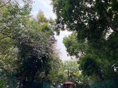 -深圳国际园林花卉博览园