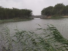 -大兴滨河森林公园