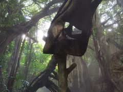 -青青世界