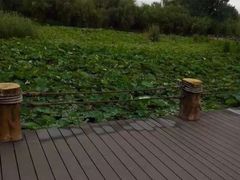 iphone_upload_pic-西昌邛海湿地