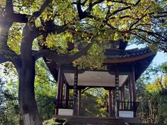 -南通濠河风景名胜区