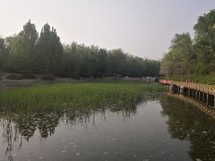 -云岗森林公园
