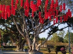 -万山楼海鲜酒家·二十三年老字号