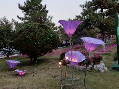 -燕郊植物园
