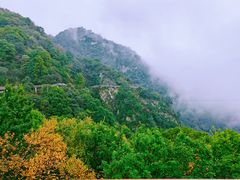 -少华山国家森林公园