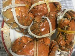 -黄记大闸蟹专卖店·活蟹·醉蟹