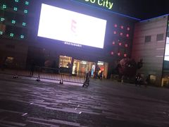 -深圳龙华星河COCO City(民治店)