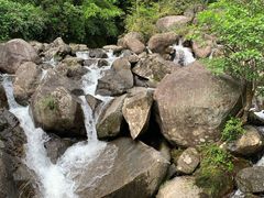-大围山国家森林公园