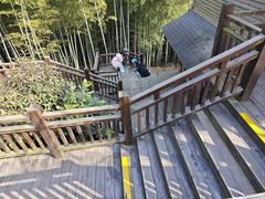 -天目湖山水园