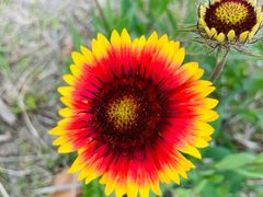 -上海绿地缤纷广场-停车场