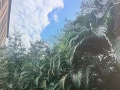 -三亚湾红树林度假世界(木棉酒店)