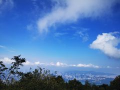 -梧桐山风景名胜区