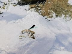 -宁波五龙潭景区