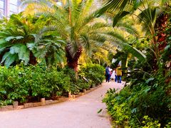 -祥源·阜阳生态乐园