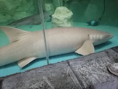 -绿色星球动物主题公园