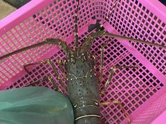 -班赞海鲜市场