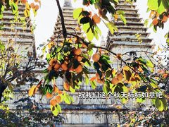 -北京石刻艺术博物馆(五塔寺)
