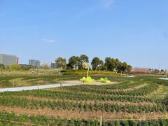 -春花秋色城市公园