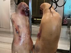 -大鸭梨烤鸭(金色漫香店)