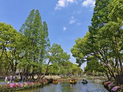 -苏州上方山国家森林公园