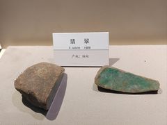-大连自然博物馆