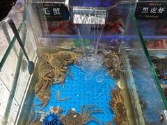 -加餐海鲜自助(宝龙一城店)