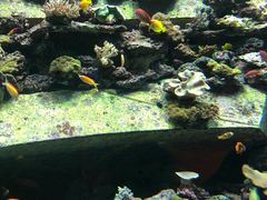 -亚龙湾海底世界