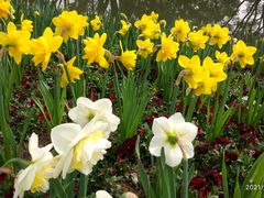 -无锡梅园公园