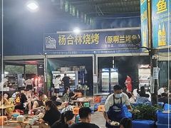 -杨合林啊兰烤鱼