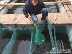 -罗源湾8号渔排