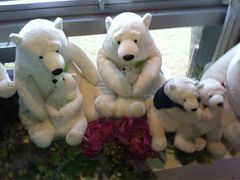 -济州岛泰迪熊博物馆