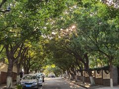 -八大关景区