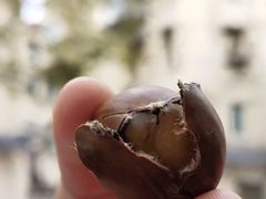 -陈记栗子(长宁路店)