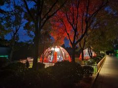 -西安汉城湖景区