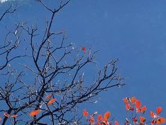 -北京十三陵国家森林公园蟒山景区
