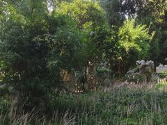 -南京农业大学(浦口校区)