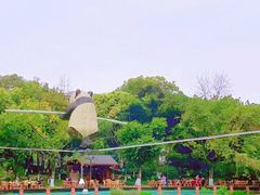 -成都市活水公园