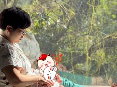 -成都阿姨到家月嫂育儿嫂(华西店)