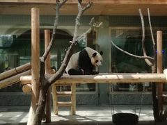 -西安秦岭野生动物园