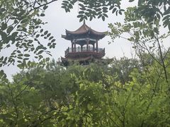 -南大港湿地风景区