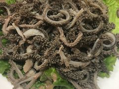 -协顺园回头馆(南顺城路店)