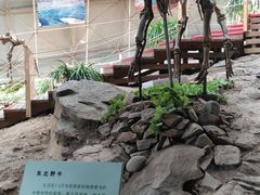 -中国第四纪冰川遗迹陈列馆