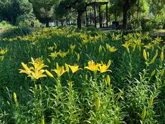 -国家植物园南园