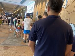 -帝企鹅自助餐厅•儿童岛•真企鹅(长隆企鹅酒店)