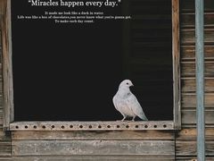 -鄂尔多斯野生动物园