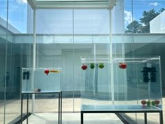 -金泽21世纪美术馆